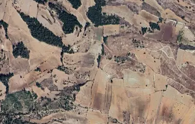 Belenardıç Mah., Satılık, Tarla, 72.743 m²