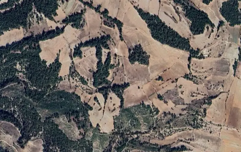 Belenardıç Mah., Satılık, Tarla, 17.735 m² — fotoğraf 2