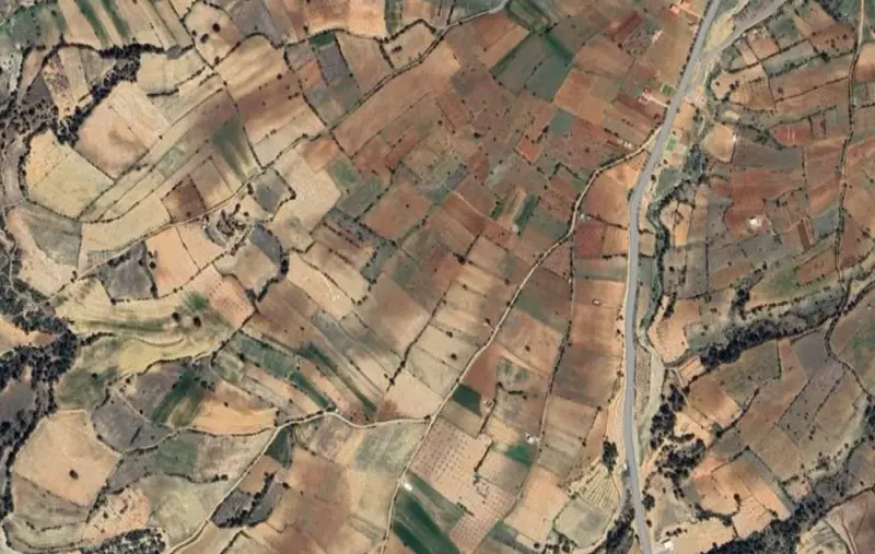 Güzelpınar Mah., Satılık, Tarla, 3.874 m² — fotoğraf 2