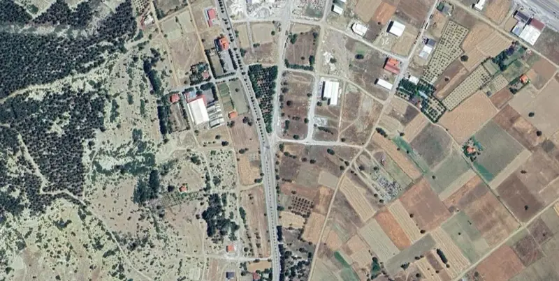 933.jpg
