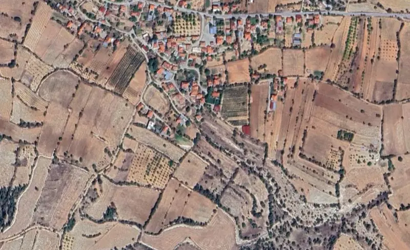 267.jpg