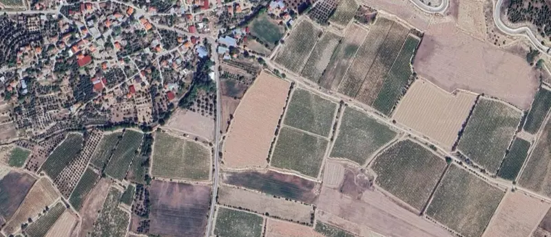 211.jpg