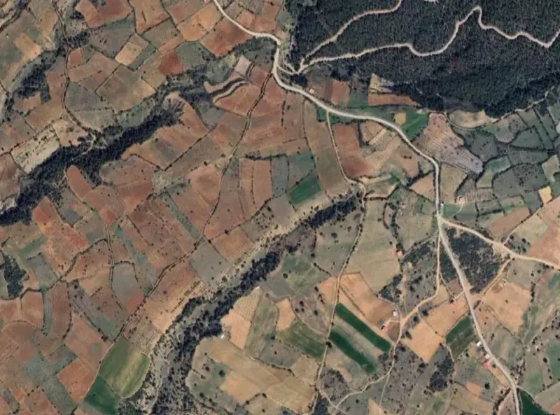 2225.jpg