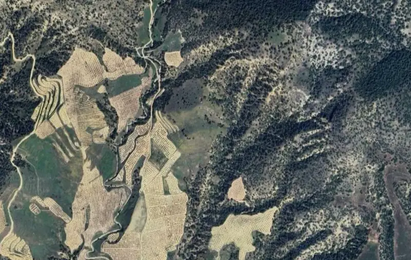 Güzelpınar Mah., Satılık, Tarla, 36.677 m² — fotoğraf 1