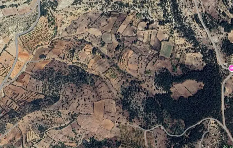 Güzelpınar Mah., Satılık, Tarla, 4.540 m² — fotoğraf 2