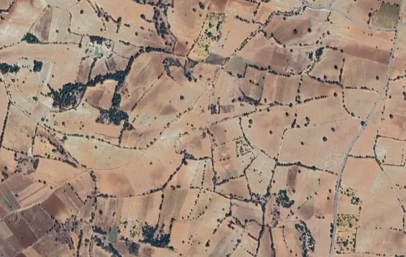 Gözler Mah., Satılık, Tarla, 21.773 m² — fotoğraf 1