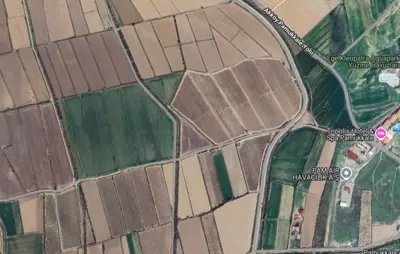 Denizli, Pamukkale, Tarla