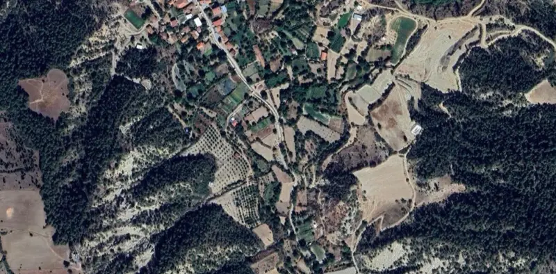 657.jpg