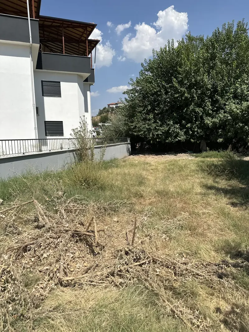 foto1.jpg