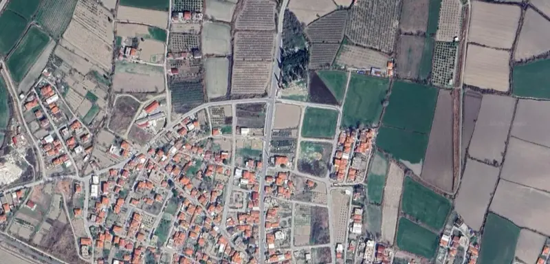 605.jpg