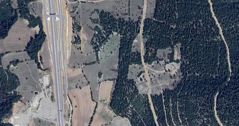 199.jpg