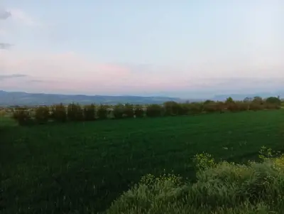 Denizli Pamukkale, Korucuk, 12300 m², Tarla
