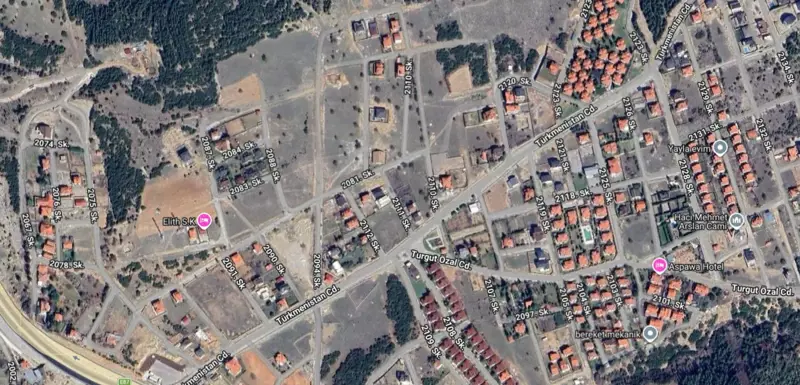 29.jpg