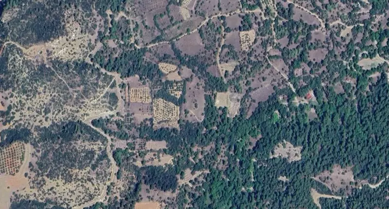 978.jpg