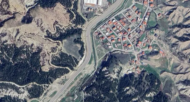 937.jpg