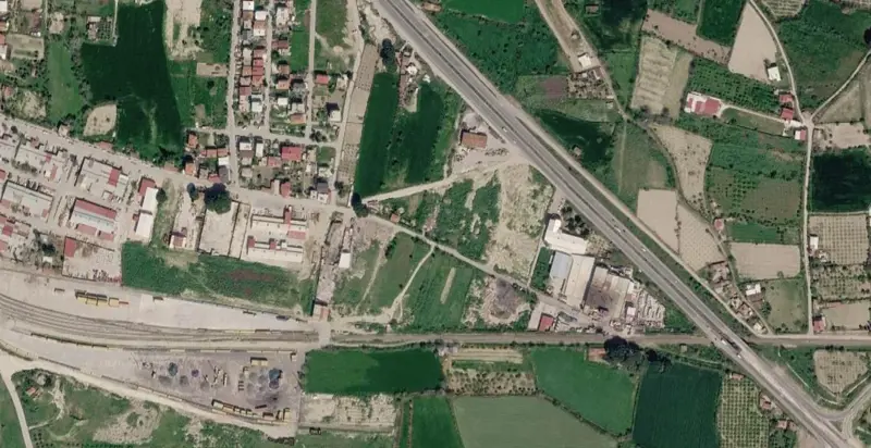 194.jpg