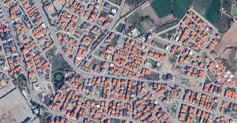 338.jpg
