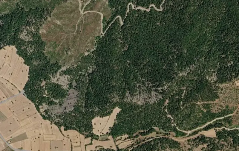 Pınarlık Mah., Satılık, Tarla, 5.978 m² — fotoğraf 2