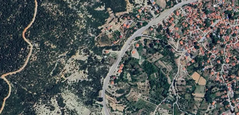 770.jpg