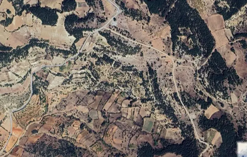 1935.jpg