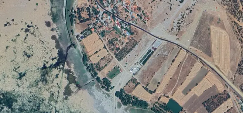 775.jpg