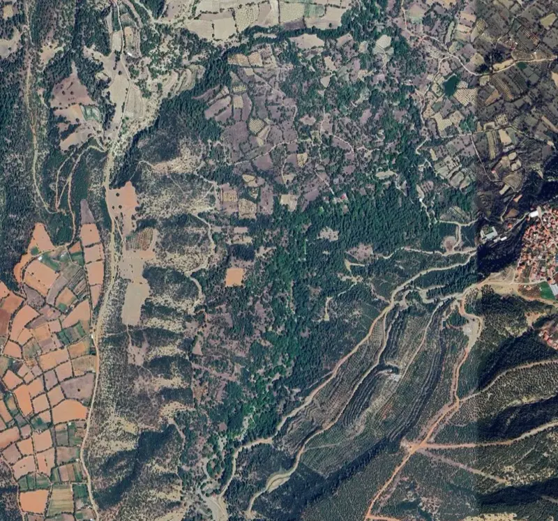 Ekran görüntüsü 2026-07-01 163847.png