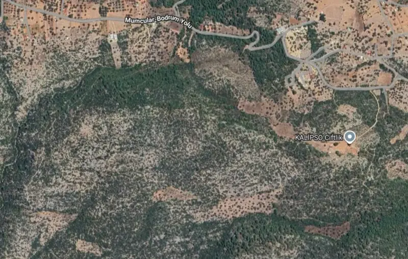 bolge-uydu-gorseli.png