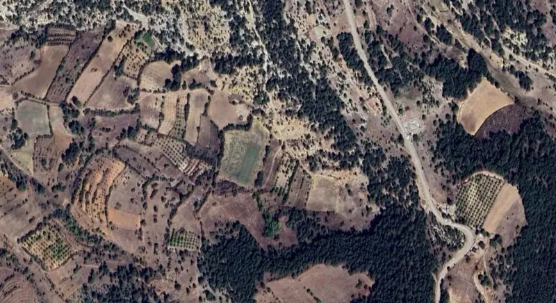 186.jpg
