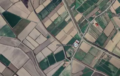 Denizli, Aşağışamlı, Tarla