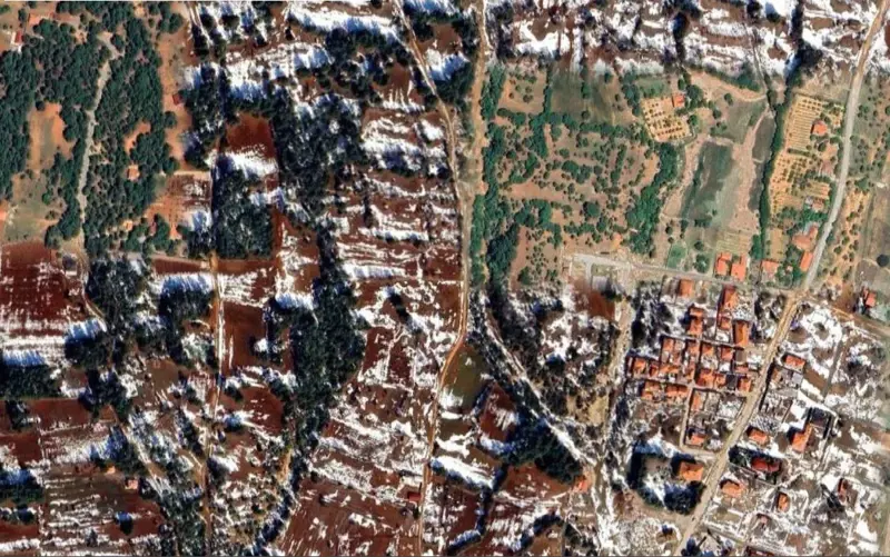 339.jpg