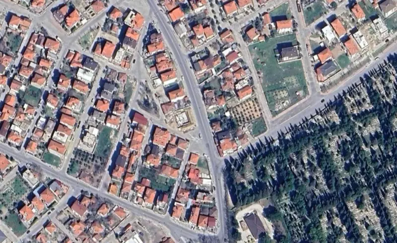 164.jpg