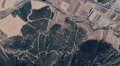 Denizli, Bozkurt, Satılık, Tarla