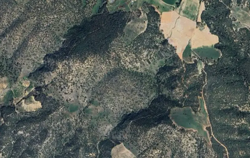 Kurtluca Mah., Satılık, Tarla, 12.194 m² — fotoğraf 2