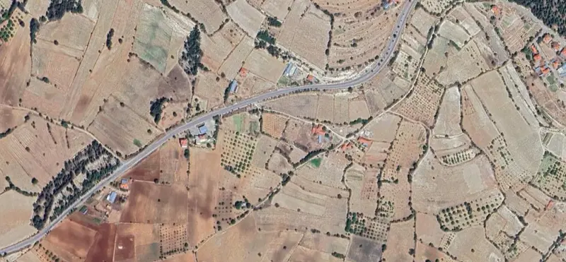 729.jpg