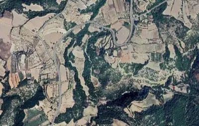 Denizli, Haytabey, Tarla
