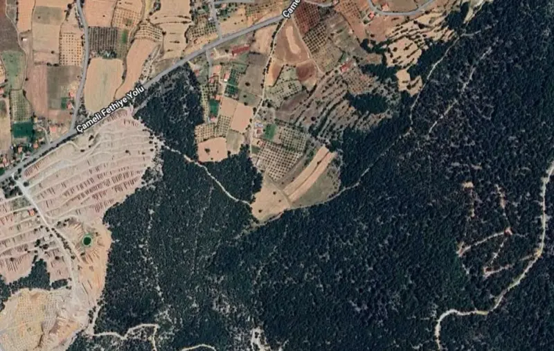 Cevizli Mah., Satılık, Tarla, 7.759 m² — fotoğraf 1