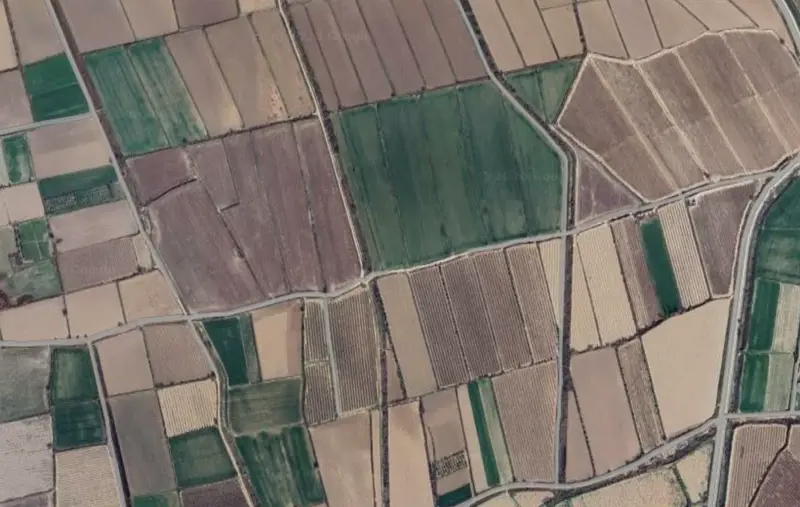 Denizli, Pamukkale, Tarla — fotoğraf 1