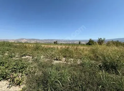 Gölemezli Mah., Satılık, Tarla, 19.332 m²
