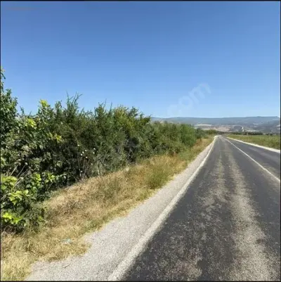 Denizli, Gölemezli, Tarla