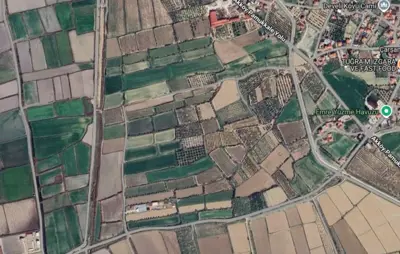 Denizli, Akköy, Tarla