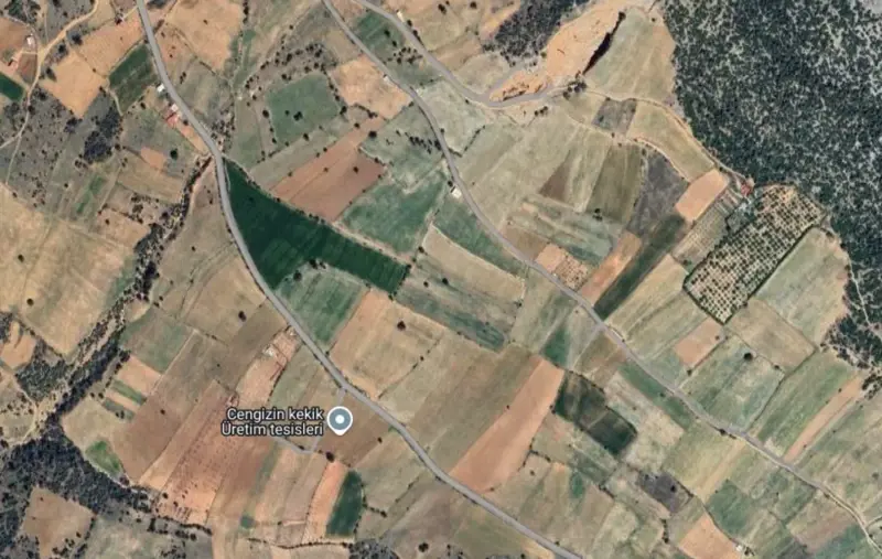Güzelpınar Mah., Satılık, Tarla, 6.366 m² — fotoğraf 1