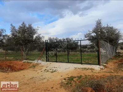Denizli Merkezefendi, Yeşilyayla, 3745 m², Tarla