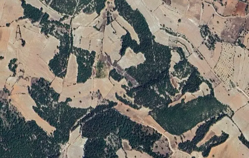 Uzunpınar Mah., Satılık, Tarla, 23.512 m² — fotoğraf 2