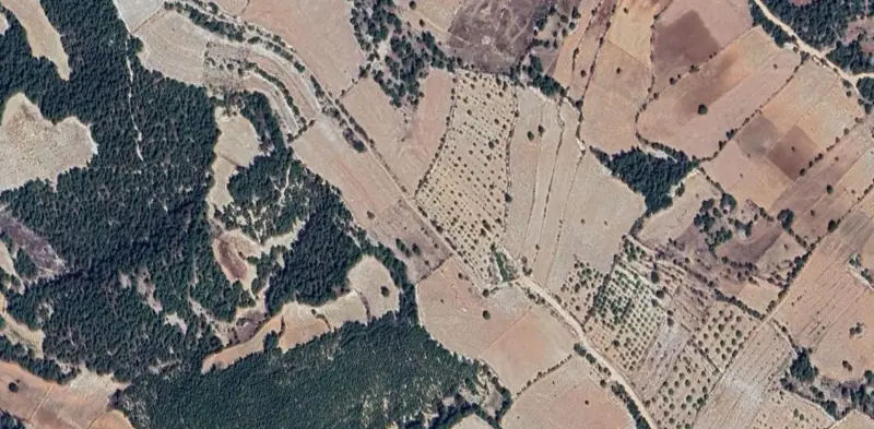 1488.jpg