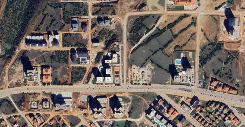 893.jpg
