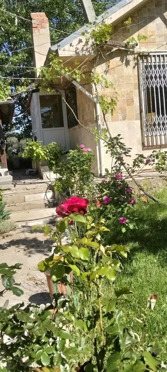 1324311505_06.jpg