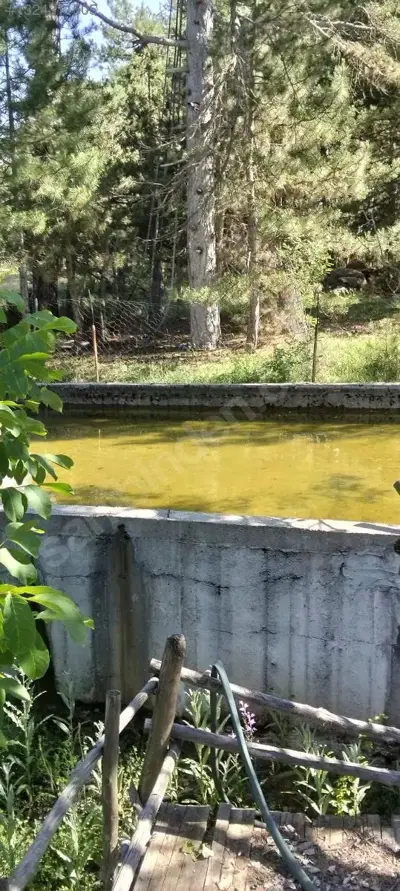 Denizli, Yukarı, Tarla