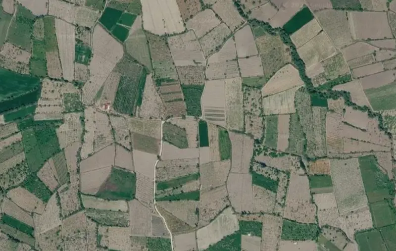 Hürriyet Mah., Satılık, Tarla, 8.969 m² — fotoğraf 2