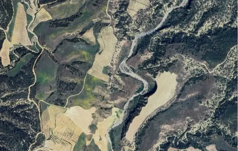 bolge-uydu-gorseli.png