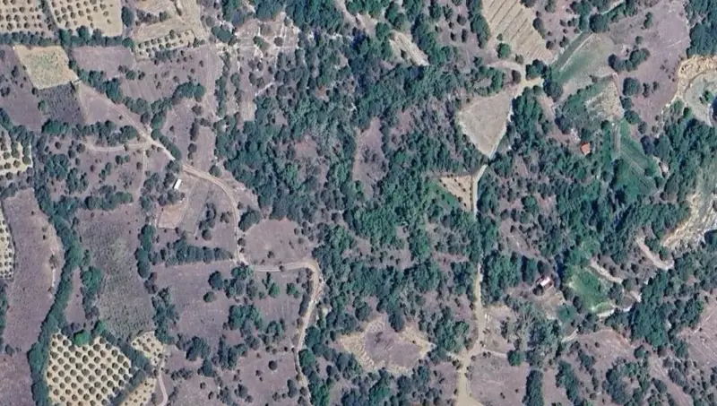 166.jpg